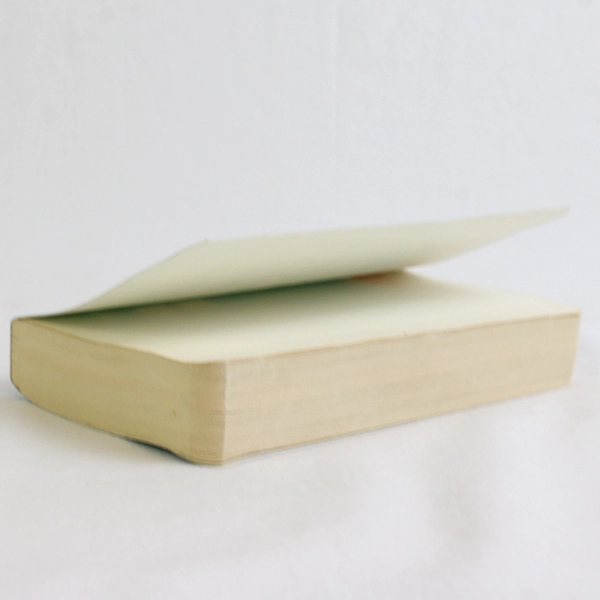 Merriam-Webster's Pocket Rhyming Dictionary 2001 PB Pocket Reference Library