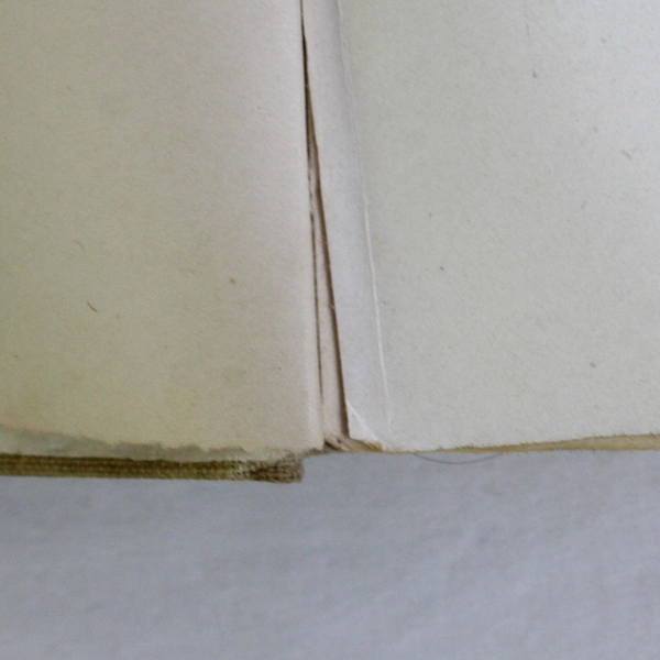 Antique Book The Virginian A Horseman of the Plains By Owen Wister 1903 HC