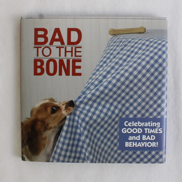 Bad to the Bone Celebrating Good Times and Bad Behavior! 2005 HC DJ Good