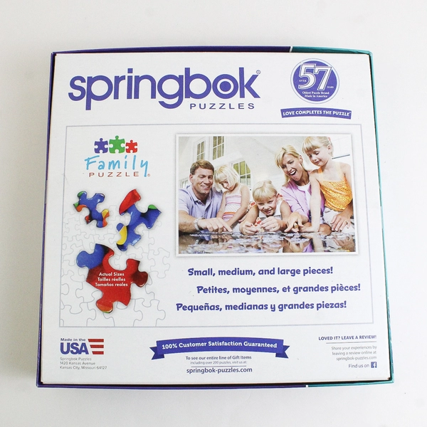 Springbok 400 Pc Family Jigsaw Puzzle Noah's Ark, Large Pieces 2020 Complete 