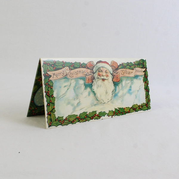 Vintage 1989 Smithsonian Institution Blank Slimline Christmas Card