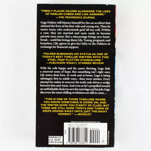 Desperate by Daniel Palmer Paperback 