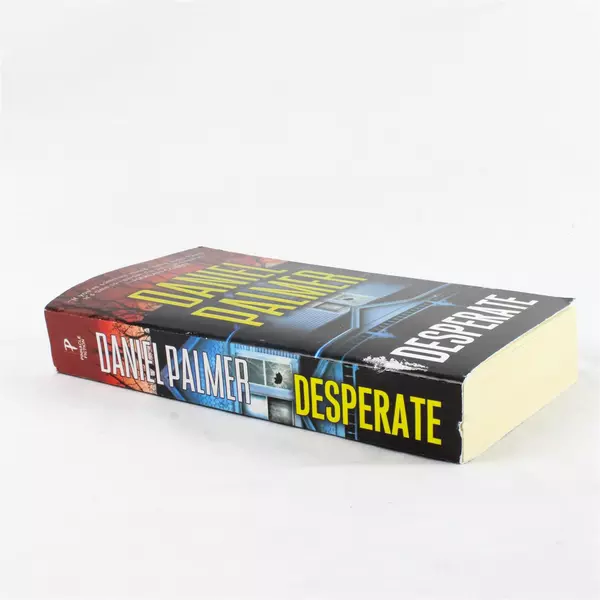 Desperate by Daniel Palmer Paperback 