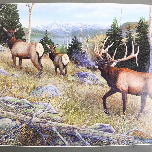 New "Mountain Music" 500 Piece Jigsaw Puzzle 19x13" Sealed