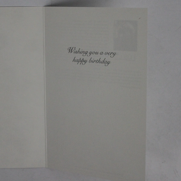 Vintage 1987 Pictura Graphica Girl Lisi Martin Birthday Card