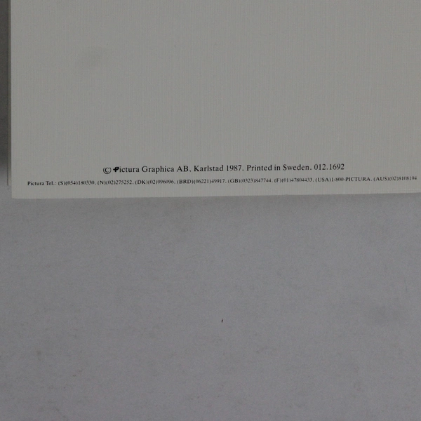 Vintage 1987 Pictura Graphica Girl Lisi Martin Birthday Card