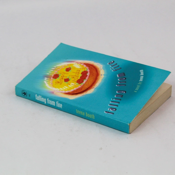 Falling From Fire by Teena Booth 2002 Paperback - Good Condition