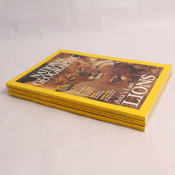 Lot of 3 Vintage 2001 National Geographic Magazine Issues April May June