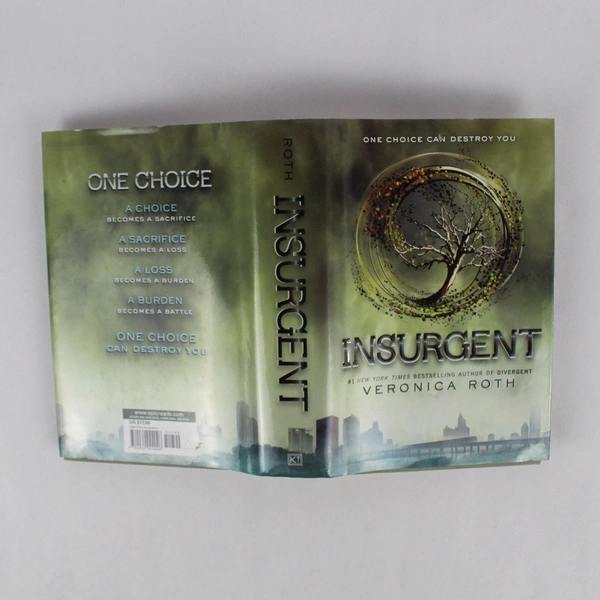 Insurgent by Veronica Roth Divergent Series #2 2012 First Edition Hardcover DJ