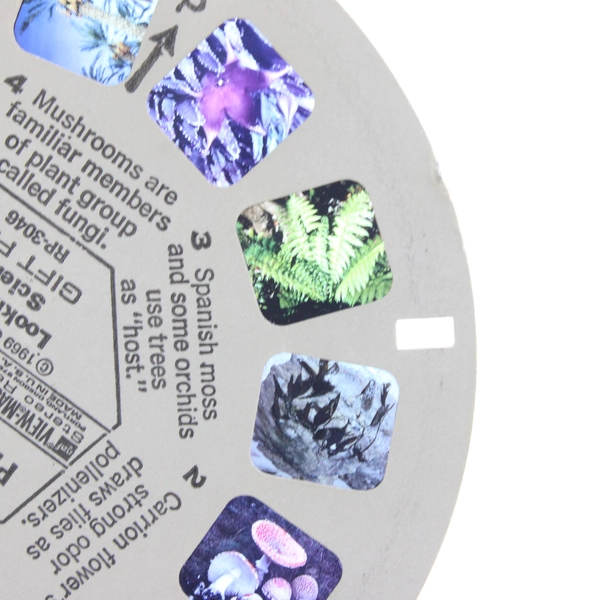 View-Master Vintage The Plant Kingdom Reel 1969