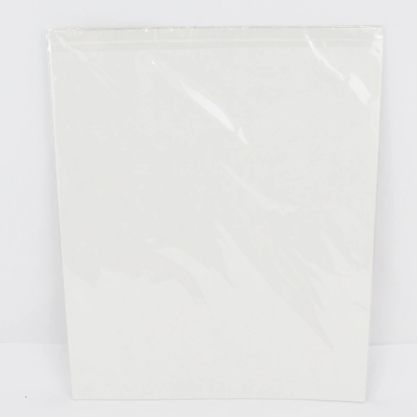 2014 Carrie Ann Truitt Dragonis Magnificus Verdans Dragon Art Print Matted