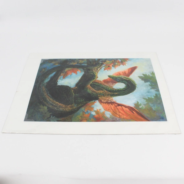 2014 Carrie Ann Truitt Dragonis Magnificus Verdans Dragon Art Print Matted