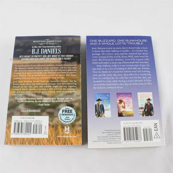 Lot of 2 Western Romance Novels Into Dust & Wicked Cowboy Charm 