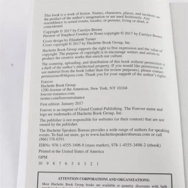 Lot of 2 Western Romance Novels Into Dust & Wicked Cowboy Charm 