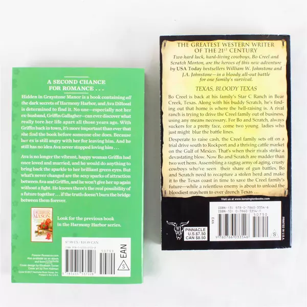 Lot of 2 Books Sidewinders Bleeding Texas & Starlight Bridge