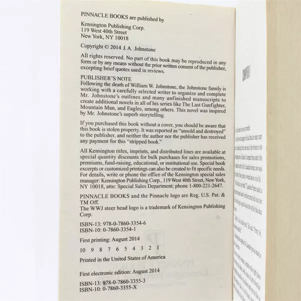 Lot of 2 Books Sidewinders Bleeding Texas & Starlight Bridge