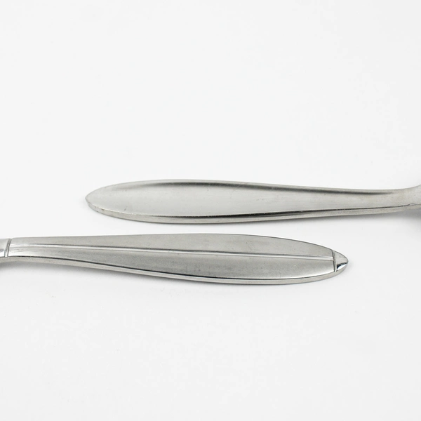 Lot of 5 Cambridge Silver CBS46 Pattern Teaspoons Stainless 6.5 Inches