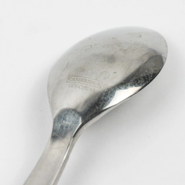 Lot of 5 Cambridge Silver CBS46 Pattern Teaspoons Stainless 6.5 Inches