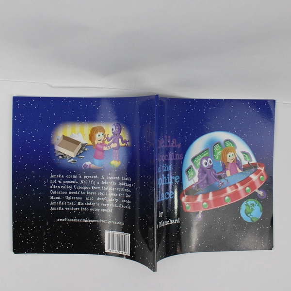 Book One Amelia the Moochins and the Sapphire Palace by Evonne Blanchard 2014 PB