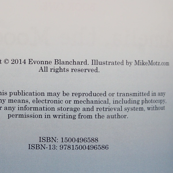 Book One Amelia the Moochins and the Sapphire Palace by Evonne Blanchard 2014 PB