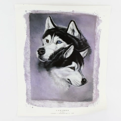 1999 Channel 2 Broadcasting James Havens Legends Of Winter Poster