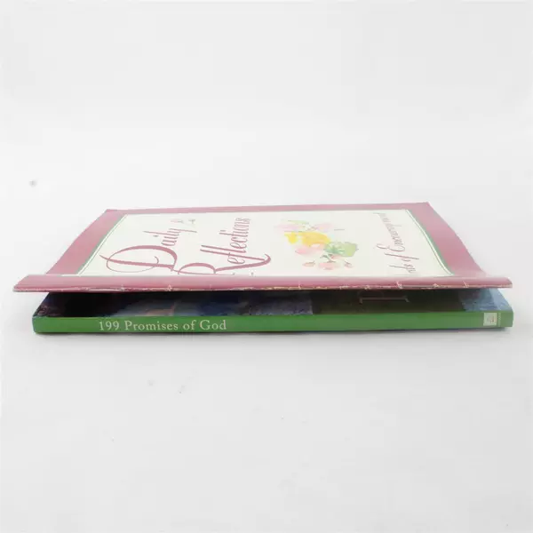 Lot of 2 Christian Books 199 Promises of God & Daily Reflections 
