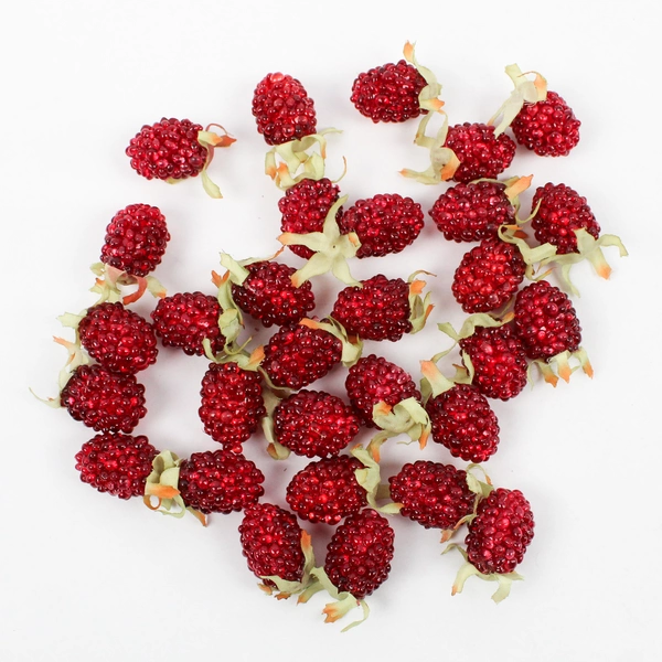 Lot Of 30 Matching Unbranded Decorative/Craft Plastic Red Raspberries 1.25" Long