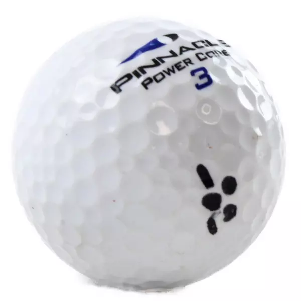 11 Pinnacle Golf Balls Lot Used Practice Range