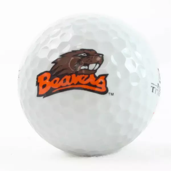 Lot of 9 Used Golf Balls Practice Range States