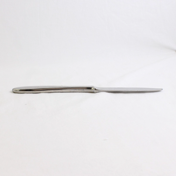 Oneida Silver Velour Pattern 4-Piece Set Dinner Knives Stainless 9.5 Inches