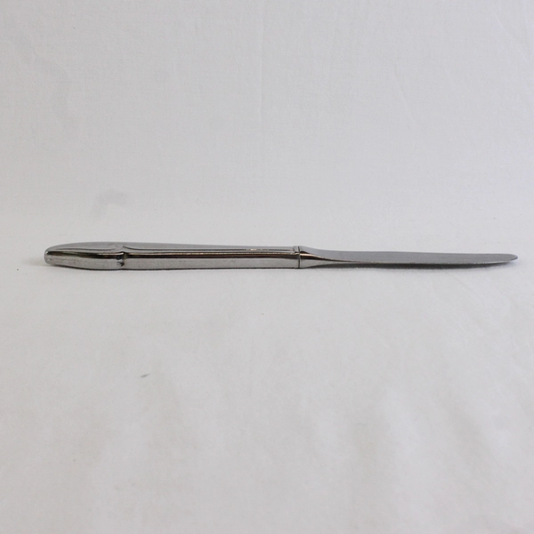 Lot of 2 Oneida Silver Oneidacraft Profile Stainless Pattern Dinner Knives 8.5"