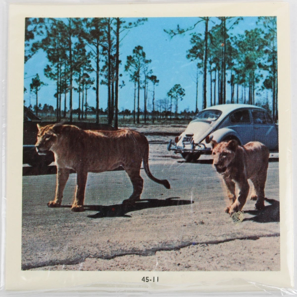 Dexter Professional Dextermatic Lion Country Safari Florida Photo Prints Set 45