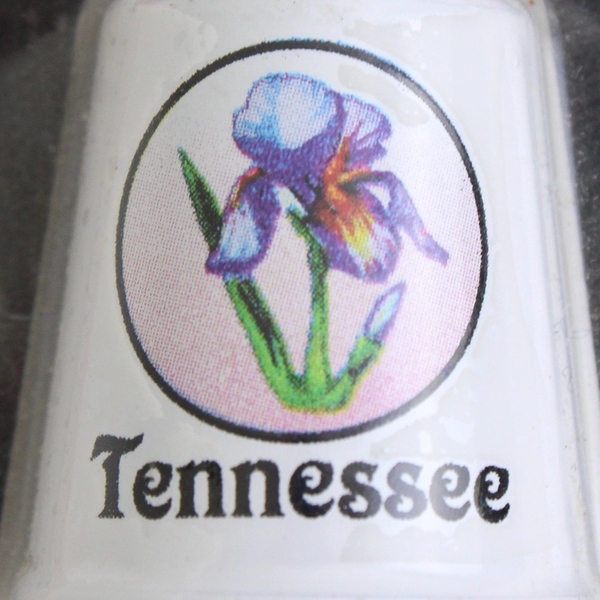 NIP 2001 Amish Kraft Company Tennessee Iris Collector's Thimble