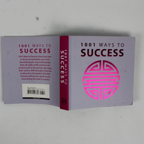 1001 Ways to Success 2013 Mixed Authors Paperback