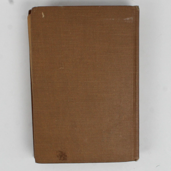 Wild Kitty by Mrs. L.T. Meade Early 1900s Hardcover Antique Book