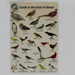 1997 Guide to Birds of Hawaii Laminated Card Natural World Press