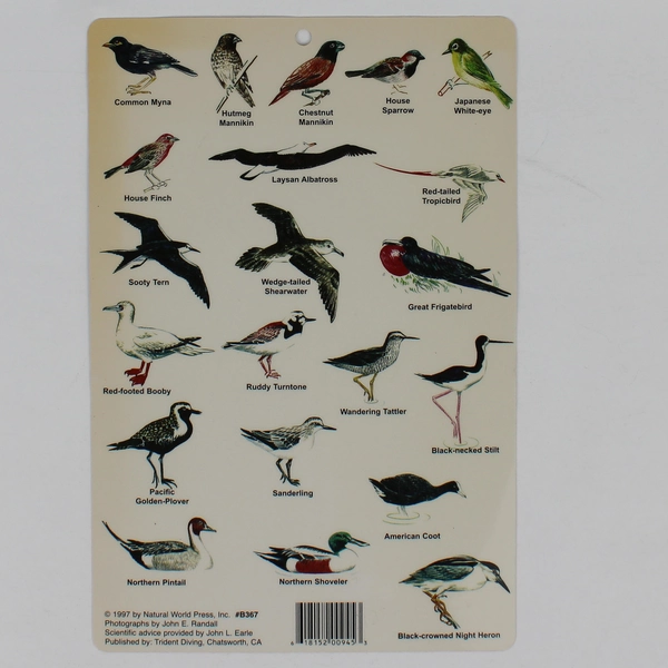 1997 Guide to Birds of Hawaii Laminated Card Natural World Press