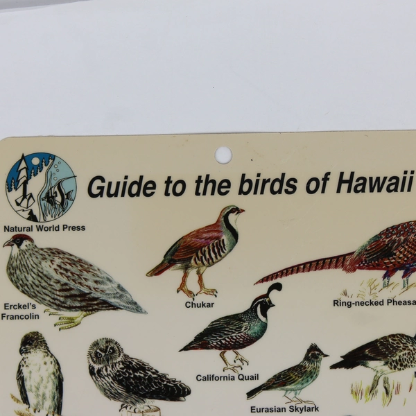 1997 Guide to Birds of Hawaii Laminated Card Natural World Press