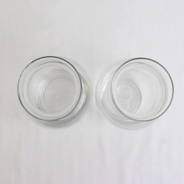 Lot Of 2 Matching Unbranded Jardin Vase Decorative Clear Glass 7" Tall