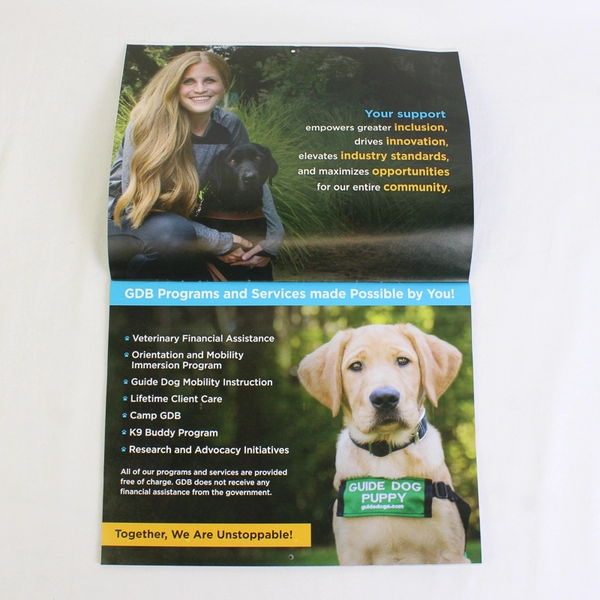 2022-2023 Guide Dogs For The Blind Wall Calendar Dogs Puppies