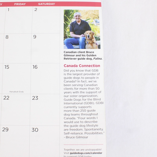 2022-2023 Guide Dogs For The Blind Wall Calendar Dogs Puppies