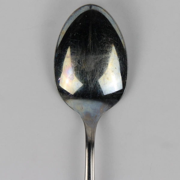 Lot of 4 Oceanic Stainless Steel Serving Spoons Oneida Flatware