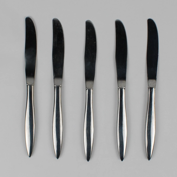 Lot of 5 Oneida Oneidacraft Deluxe Stainless Steel WINTERSONG Dinner Knives