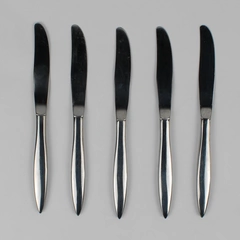 Lot of 5 Oneida Oneidacraft Deluxe Stainless Steel WINTERSONG Dinner Knives