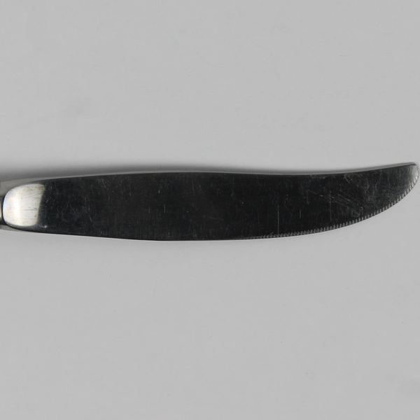 Lot of 5 International Silver Coral Reef Stainless Flatware Dinner Knives