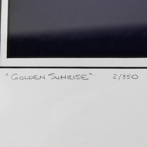 1994 L.E. Framed & Matted Photographic Print Golden Sunrise By Gene Davis 16x16"