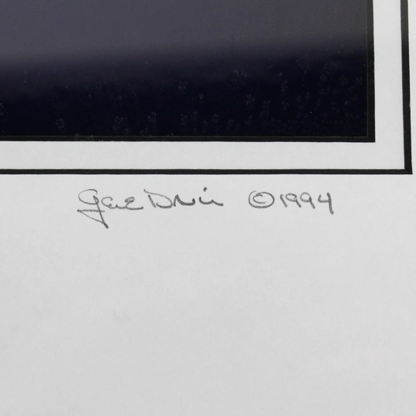 1994 L.E. Framed & Matted Photographic Print Golden Sunrise By Gene Davis 16x16"