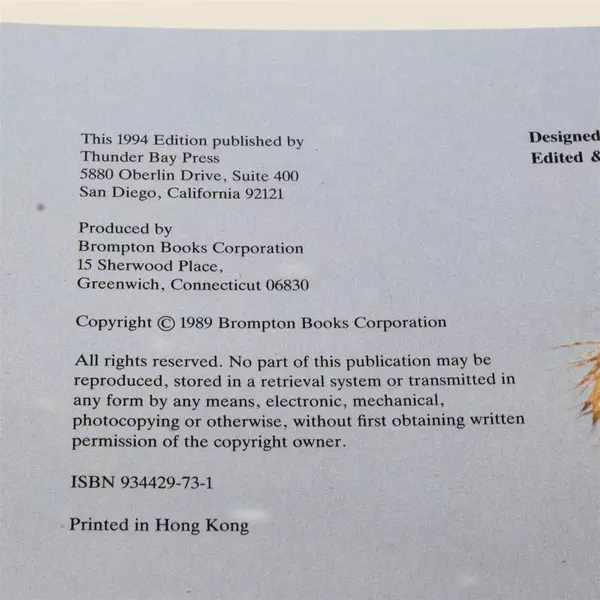 Dogs by Claudia Long & Britt Strader 1994 Hardcover Large Book