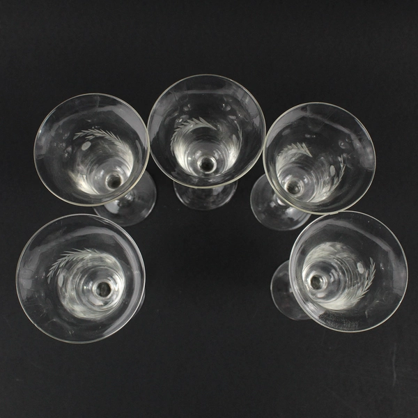 Lot Of 5 Unbranded Clear Glass Stemmed Drinking Glass Floral Etched 6.25" Tall