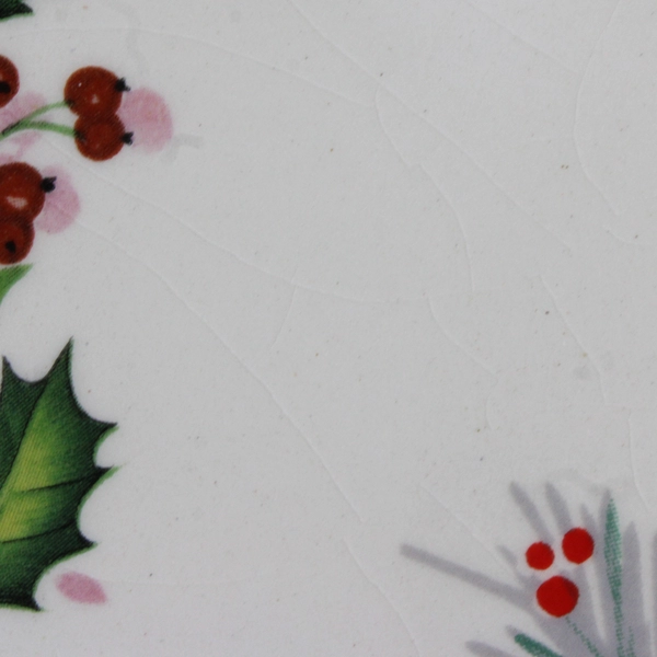 Unbranded Santa With Poinsettia Decorative Plate 10.25" Diameter